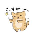 だんごねこトラさん（個別スタンプ：29）