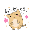 だんごねこトラさん（個別スタンプ：31）