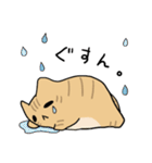 だんごねこトラさん（個別スタンプ：34）