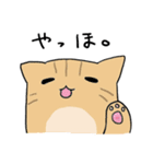 だんごねこトラさん（個別スタンプ：35）