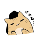 だんごねこトラさん（個別スタンプ：37）