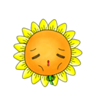 I'm Mr. Sunflower（個別スタンプ：14）