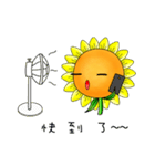 I'm Mr. Sunflower（個別スタンプ：25）