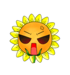 I'm Mr. Sunflower（個別スタンプ：33）