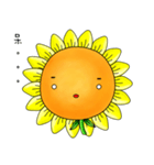 I'm Mr. Sunflower（個別スタンプ：38）