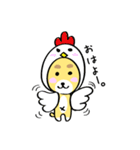 ちゃ吉の日常（個別スタンプ：11）