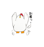 ニワトリのクック（個別スタンプ：21）