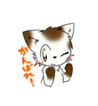 あさづみキャッツ（個別スタンプ：29）