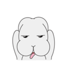Mr. Bunny Laugh- First appearance（個別スタンプ：12）