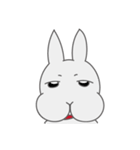 Mr. Bunny Laugh- First appearance（個別スタンプ：17）