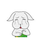 Mr. Bunny Laugh- First appearance（個別スタンプ：19）