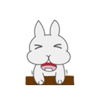 Mr. Bunny Laugh- First appearance（個別スタンプ：24）