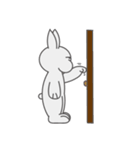 Mr. Bunny Laugh- First appearance（個別スタンプ：34）