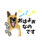 雑種犬のぽっぷな日常2（個別スタンプ：1）