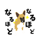雑種犬のぽっぷな日常2（個別スタンプ：10）