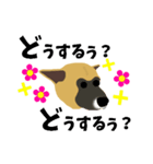 雑種犬のぽっぷな日常2（個別スタンプ：11）