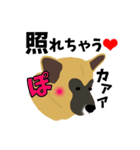 雑種犬のぽっぷな日常2（個別スタンプ：15）