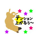 雑種犬のぽっぷな日常2（個別スタンプ：19）