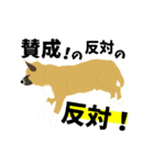 雑種犬のぽっぷな日常2（個別スタンプ：25）