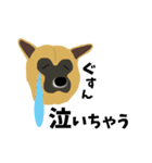 雑種犬のぽっぷな日常2（個別スタンプ：27）