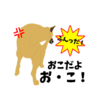 雑種犬のぽっぷな日常2（個別スタンプ：28）