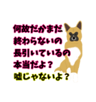雑種犬のぽっぷな日常2（個別スタンプ：29）