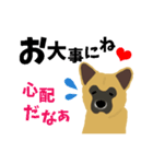 雑種犬のぽっぷな日常2（個別スタンプ：31）