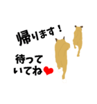 雑種犬のぽっぷな日常2（個別スタンプ：36）