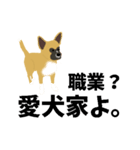 雑種犬のぽっぷな日常2（個別スタンプ：40）