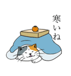 汎用 猫スタンプ（個別スタンプ：36）