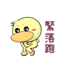 BAO duck (do not know)（個別スタンプ：23）