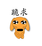 MY DOG-SHINEE（個別スタンプ：3）