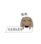 MY DOG-SHINEE（個別スタンプ：38）