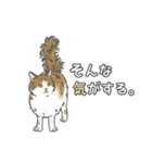 猫三昧【ベーシック】（個別スタンプ：8）