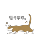 猫三昧【ベーシック】（個別スタンプ：18）