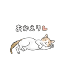 猫三昧【ベーシック】（個別スタンプ：20）