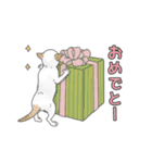 猫三昧【ベーシック】（個別スタンプ：27）