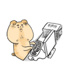 Pota Meow ＆ pinky Lo（個別スタンプ：37）