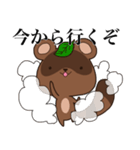 高圧的な狸、本田（個別スタンプ：12）