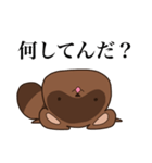 高圧的な狸、本田（個別スタンプ：26）