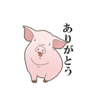 家畜動物スタンプ（個別スタンプ：13）