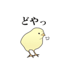 家畜動物スタンプ（個別スタンプ：21）
