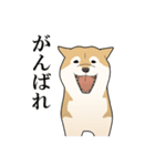 家畜動物スタンプ（個別スタンプ：25）