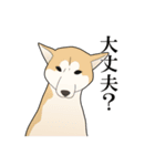 家畜動物スタンプ（個別スタンプ：26）