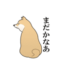 家畜動物スタンプ（個別スタンプ：31）