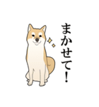 家畜動物スタンプ（個別スタンプ：32）
