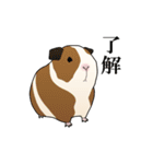 家畜動物スタンプ（個別スタンプ：35）