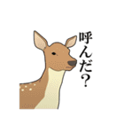 家畜動物スタンプ（個別スタンプ：38）