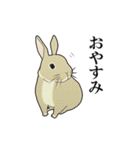 家畜動物スタンプ（個別スタンプ：40）