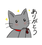 びびりネコあずきⅡ（個別スタンプ：3）
